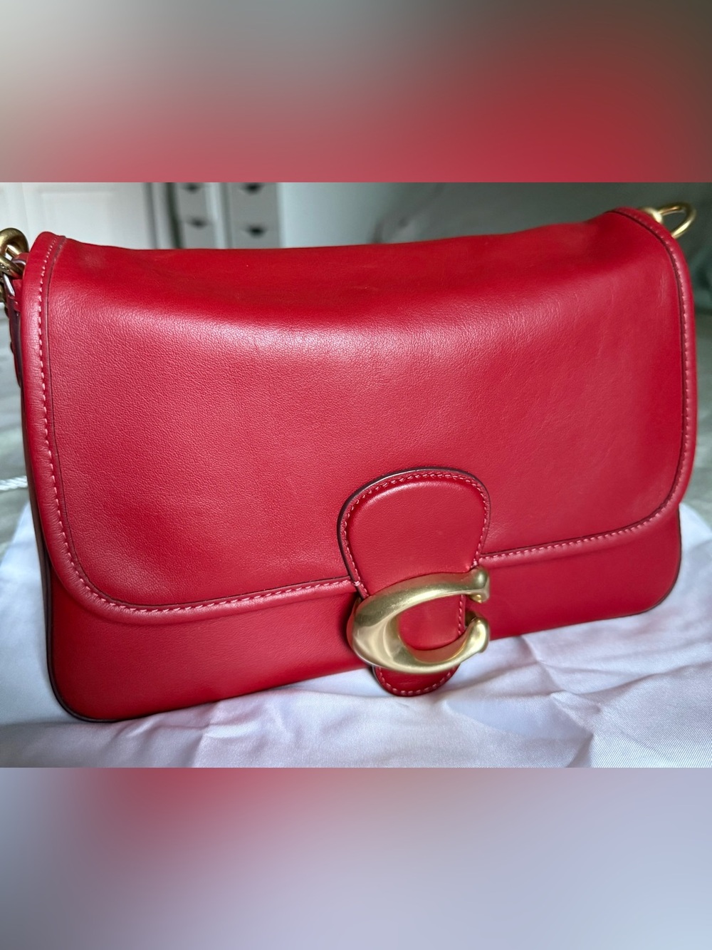 Coach Soft Tabby Shoulder Bag in Brick Red